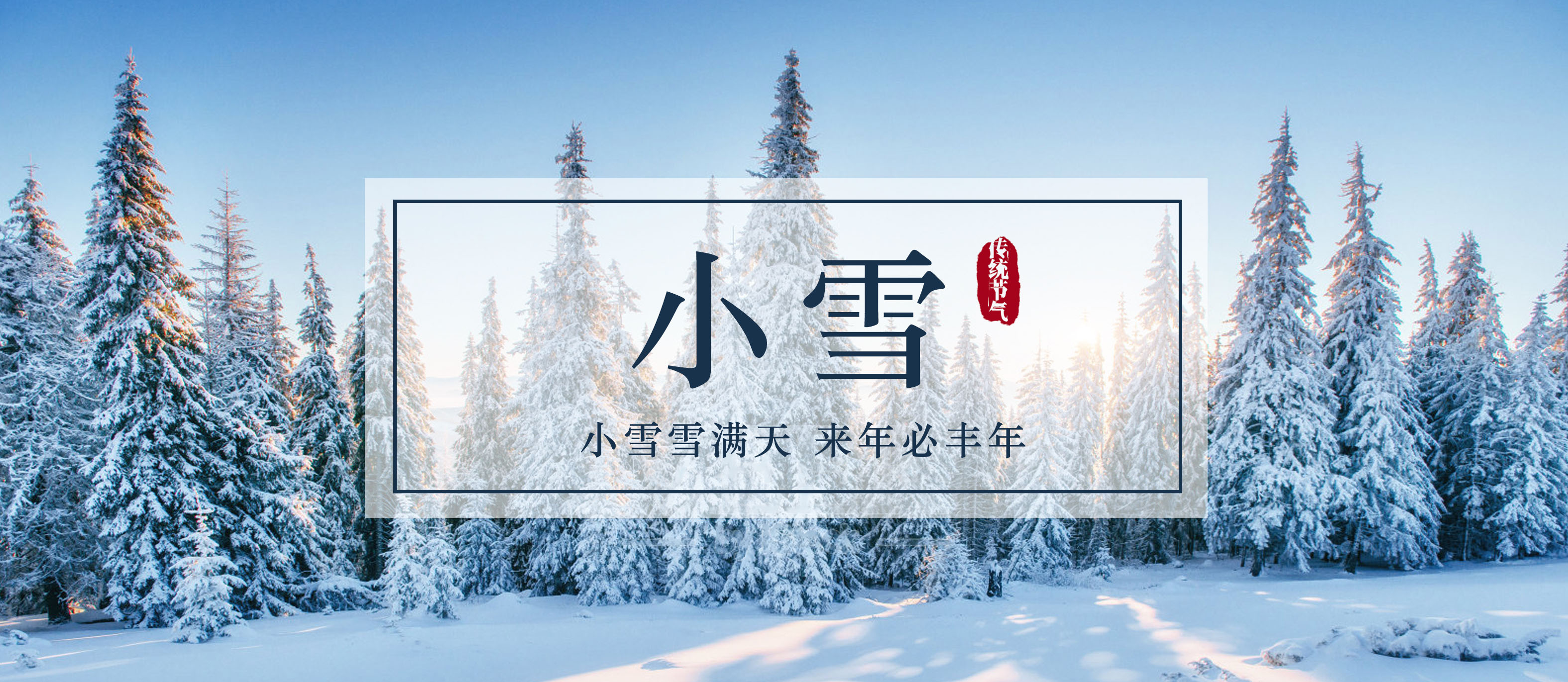 今日小雪 I 小雪雪满天 来年必丰年